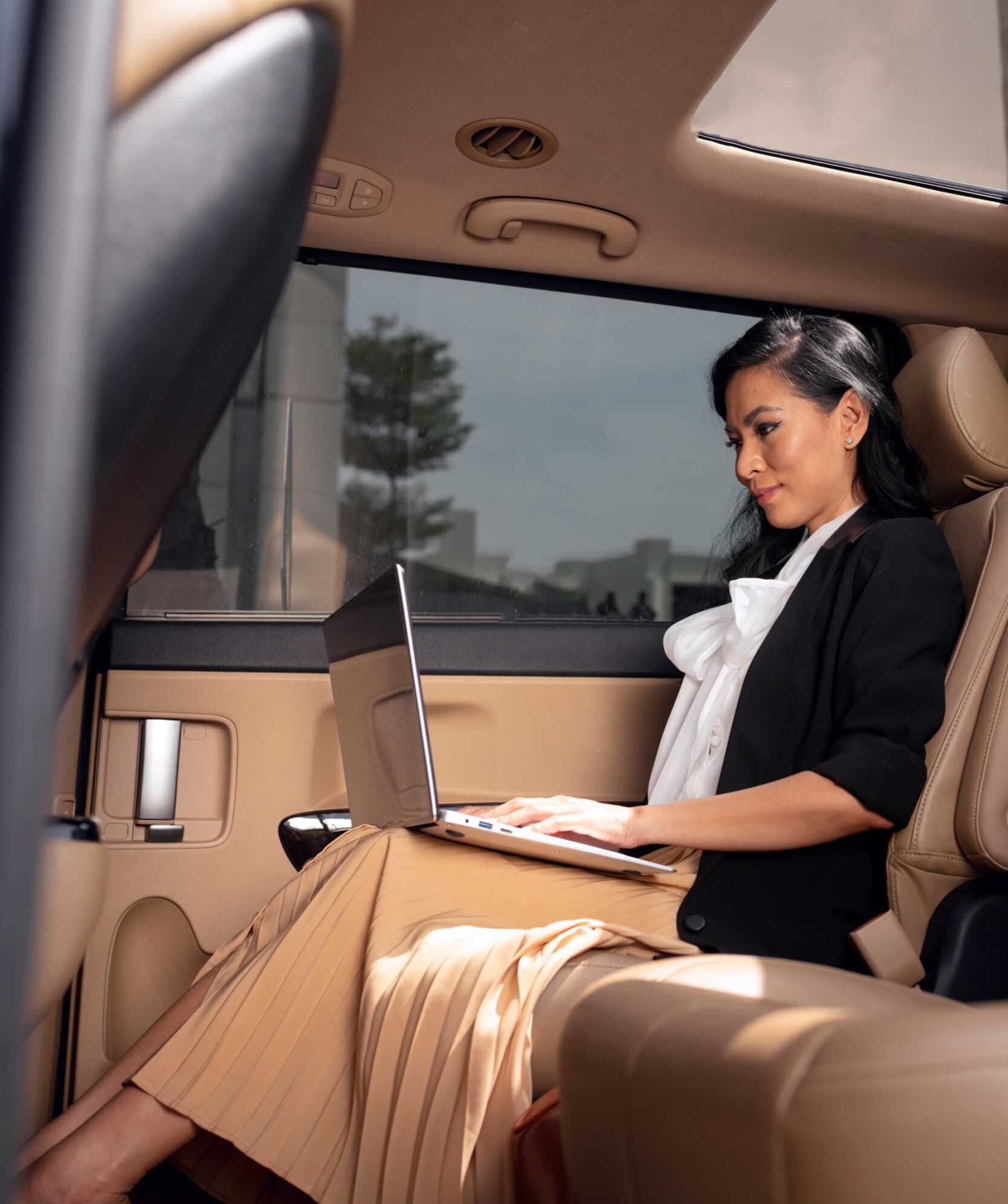 AAA Limousine service presentation