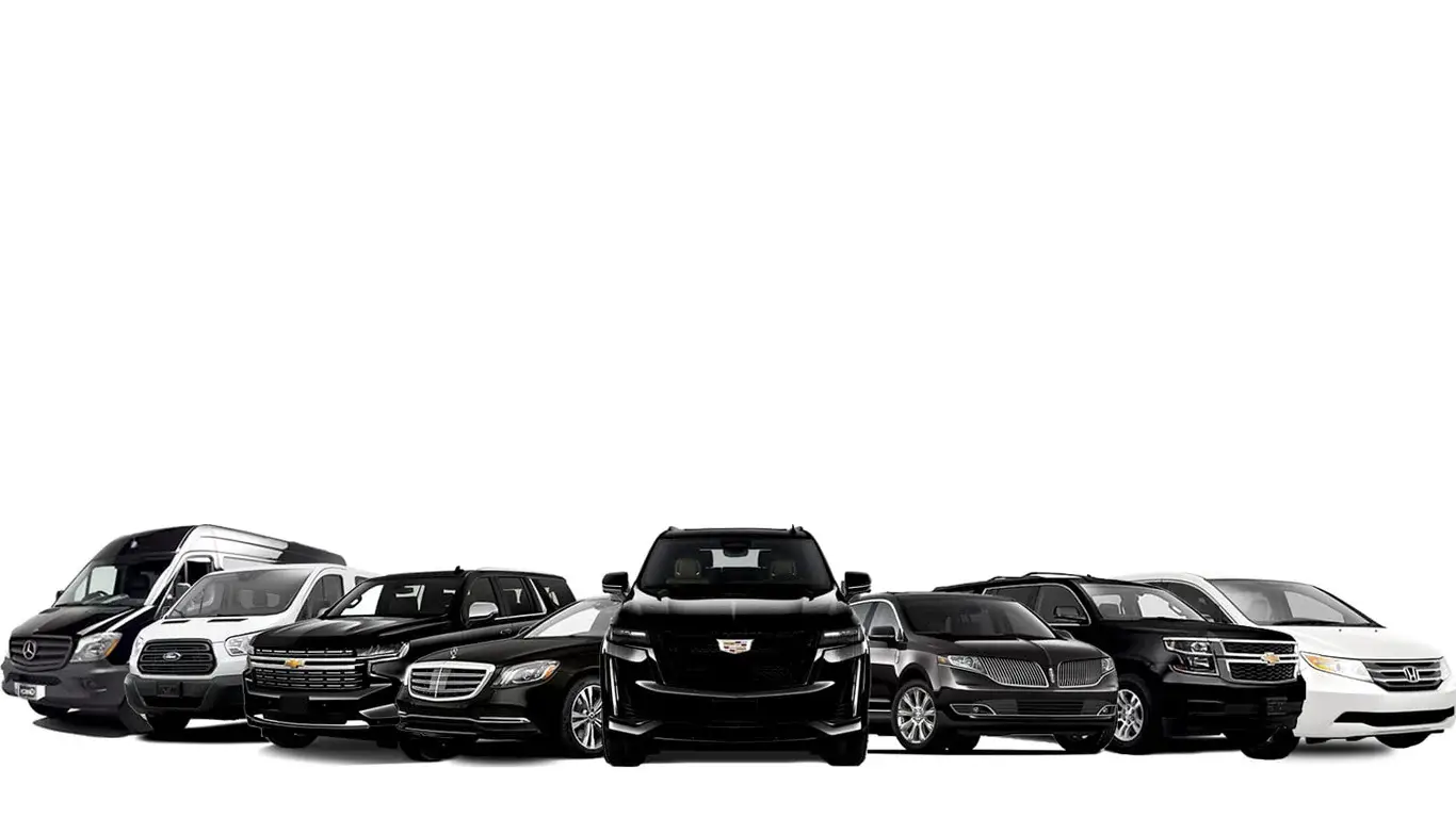 AAA Limousine premium fleet banner